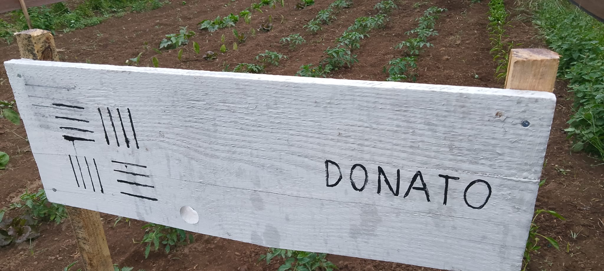 Gli orti di Via del Campo